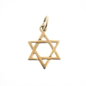 14 karaat geelgouden hanger van een joods davidster