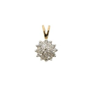 14 karaat geelgouden hanger met totaal 0,19 ct. diamanten