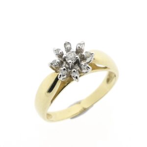 14 karaat gouden entourage ring met diamant