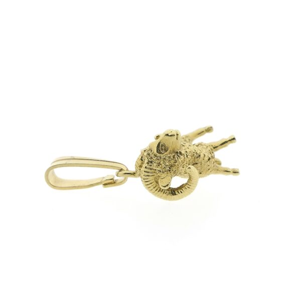 Gouden sterrenbeeld hanger | Steenbok