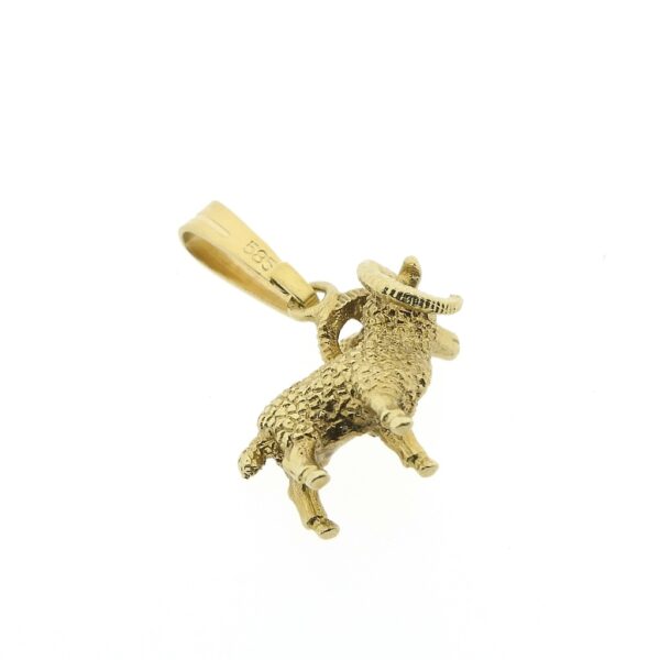 Gouden sterrenbeeld hanger | Steenbok