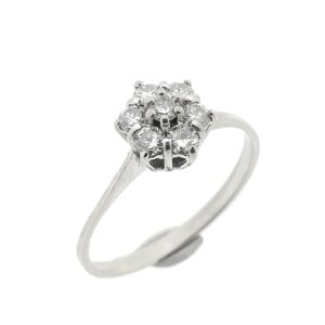 14 karaat witgouden entourage ring met diamant