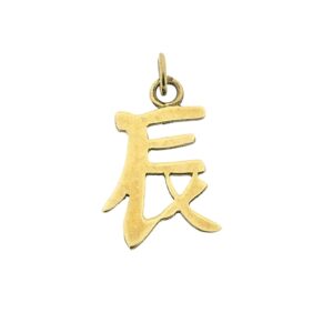 14 karaat gouden hanger van een Chinees horoscoop teken draak