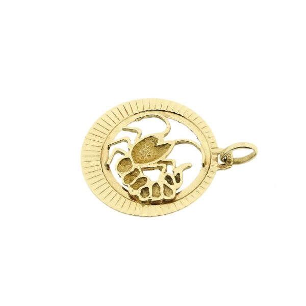 Gouden sterrenbeeld hanger; Kreeft