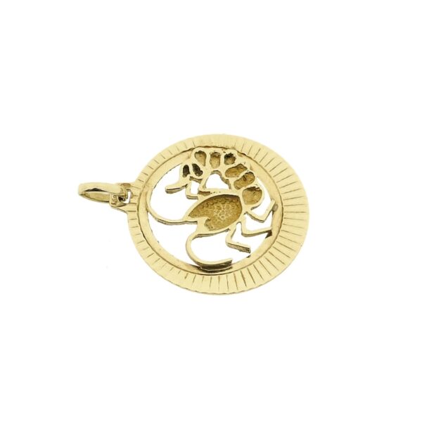 Gouden sterrenbeeld hanger; Kreeft