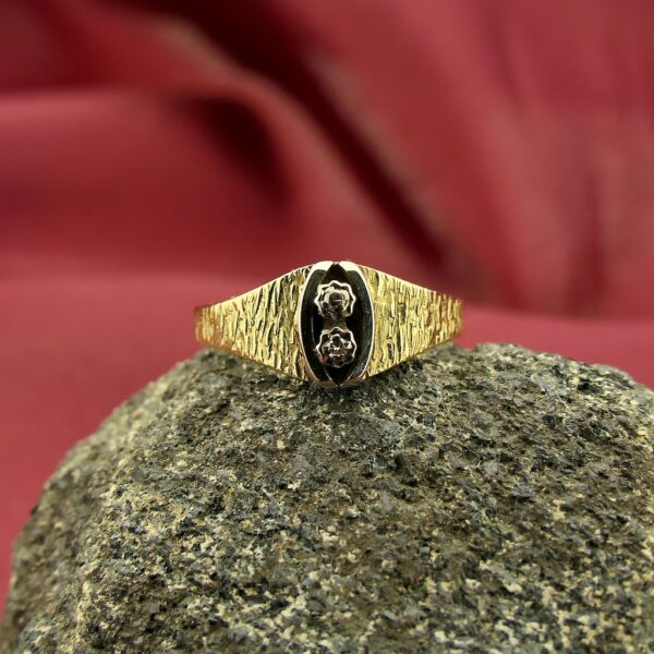 Bicolor gouden ring met diamant | 0,03 ct.