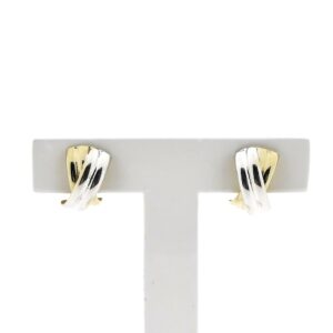 gouden bicolor oorstekers