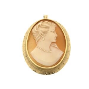 14 karaat geelgouden hanger/broche met camee