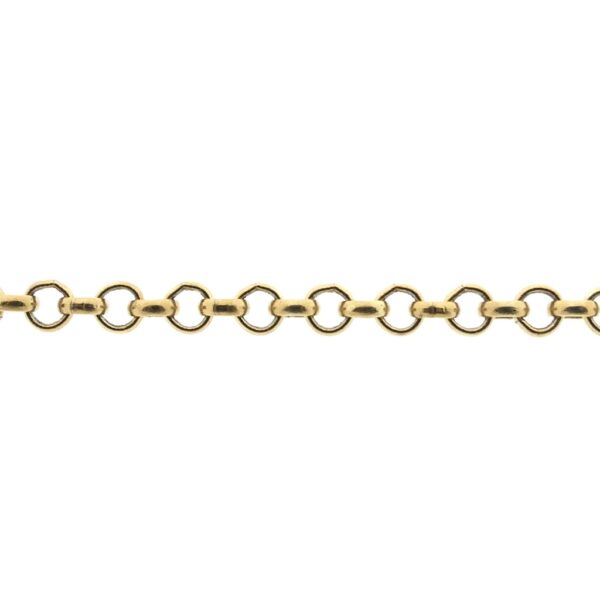 Gouden jasseron schakel collier | 72 cm