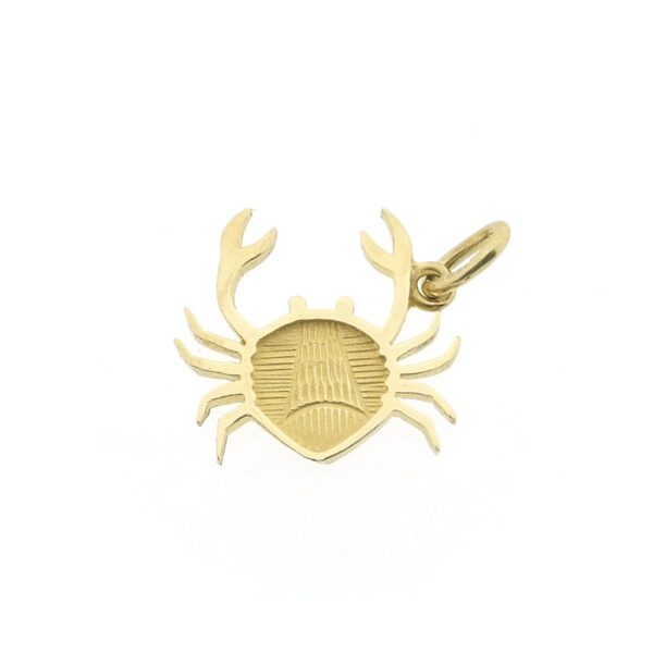 Gouden sterrenbeeld hanger; Kreeft