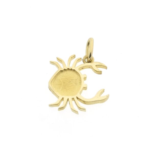 Gouden sterrenbeeld hanger; Kreeft
