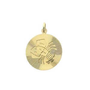 14 karaat gouden sterrenbeeld hanger; Kreeft